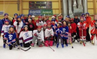 Fjölmenni á stelpuhokkídegi