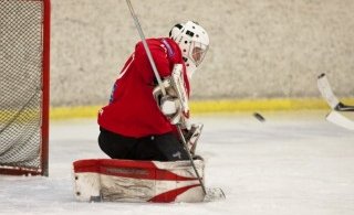 Mynd: Elvar Freyr Pálsson (26.11.2011)