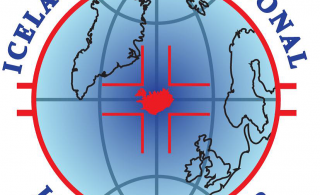 4. flokkur á Iceland Ice Hockey Cup