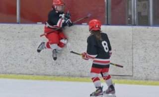 Mynd: Ásgrímur Ágústsson (Vormót 2013)