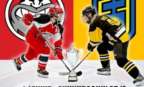 Úrslitakeppnin í íshokkí hefst um helgina