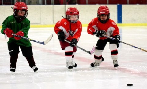 Ljósm. Sigurgeir Haraldsson