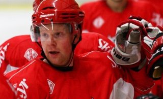 Stefán markakóngur. Mynd Sigurgeir Haraldsson