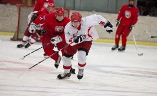 Grrrr. Myndina tók Elvar Pálsson