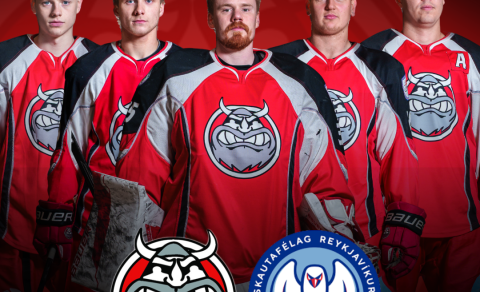 Forsala miða á leik #2 hafinn í Stubb