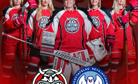 Leik 3 í úrslitakeppninni frestað til morguns vegna veðurs!