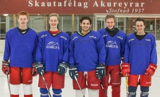 Strákarnir okkar (mynd: Ási Ljósmyndari)