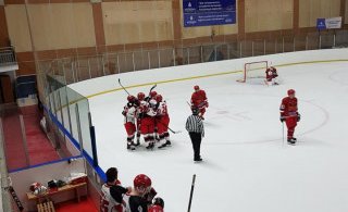 SA Víkingar fagna marki