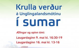 Komdu að Krulla