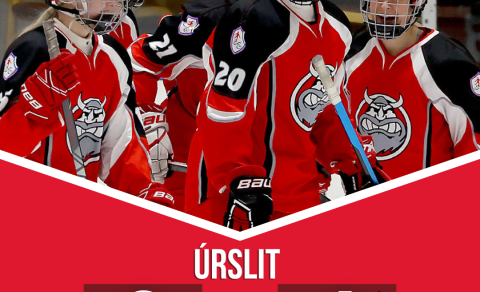 SA deildarmeistarar kvenna 2024